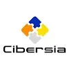 Negocio Cibersia Informática Toledo